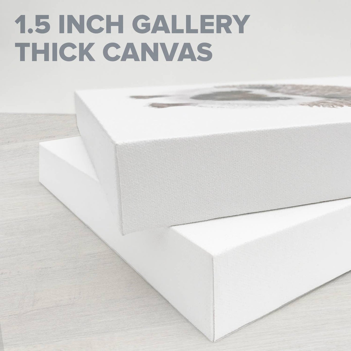 El Bridge Views Stretched Canvas