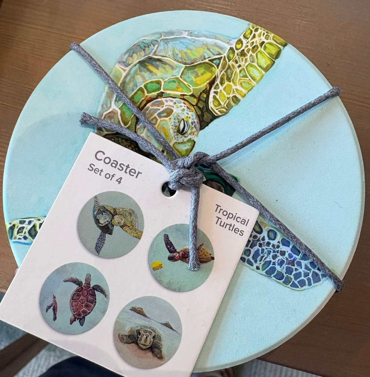 Turtle Coasters Set of 4