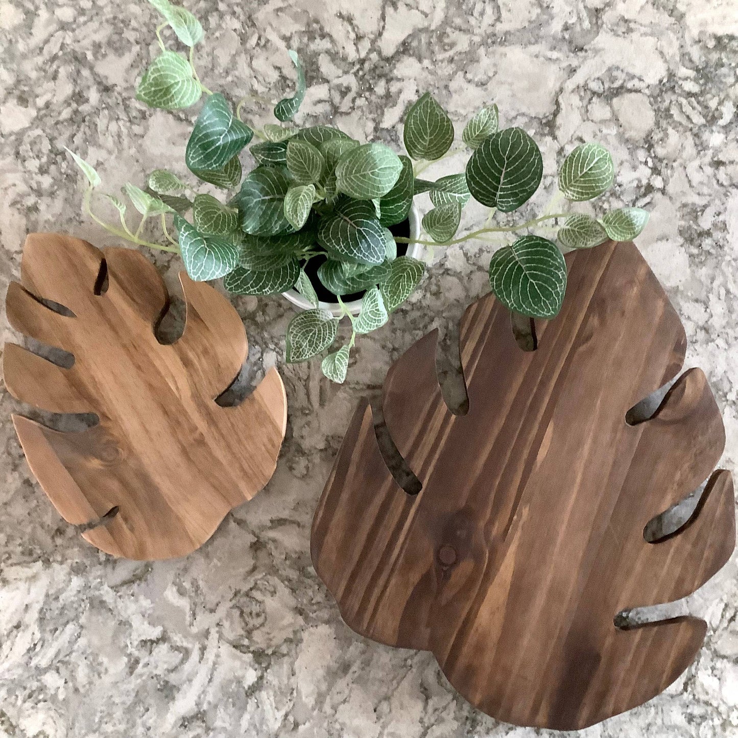 Tray | Trivet | Plant Riser: Small