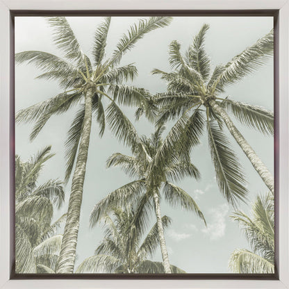 Lovely Vintage Palm Trees