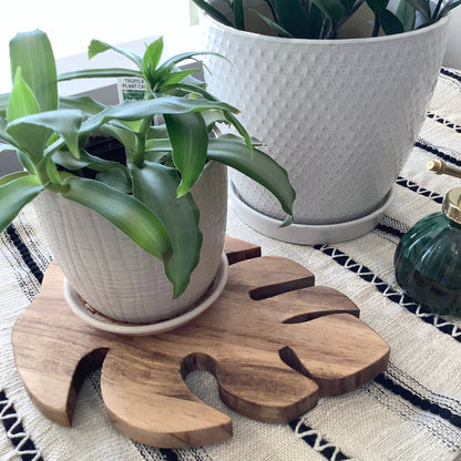 Tray | Trivet | Plant Riser: Large