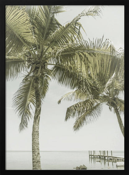 FLORIDA Heavenly Place | Vintage