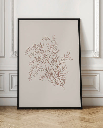 Wall art Acacia Botanical Branch