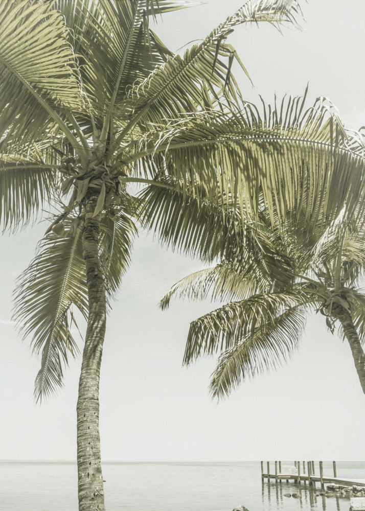 FLORIDA Heavenly Place | Vintage