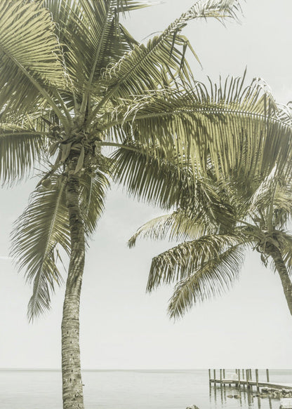 FLORIDA Heavenly Place | Vintage