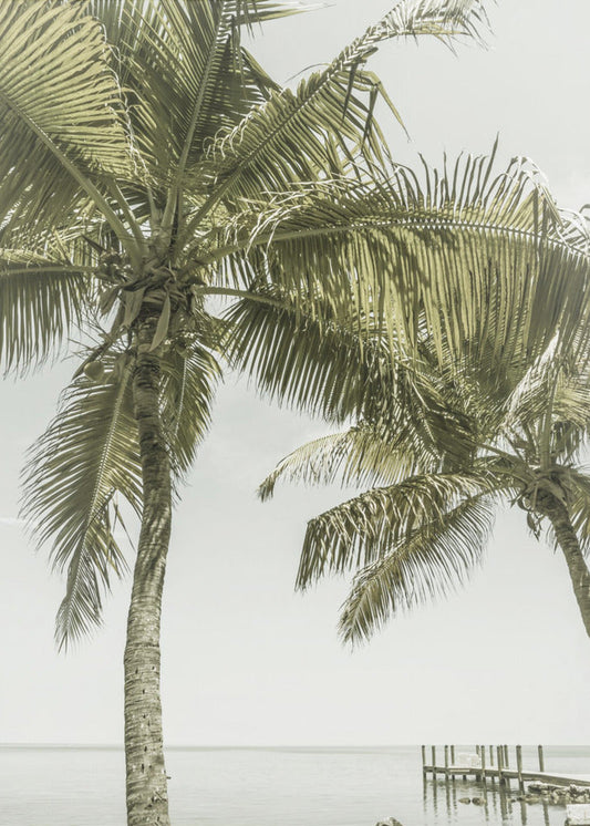 FLORIDA Heavenly Place | Vintage